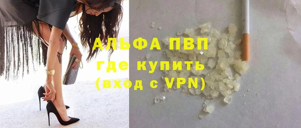 ПСИЛОЦИБИНОВЫЕ ГРИБЫ Заводоуковск