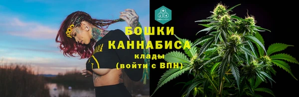 ПСИЛОЦИБИНОВЫЕ ГРИБЫ Заводоуковск
