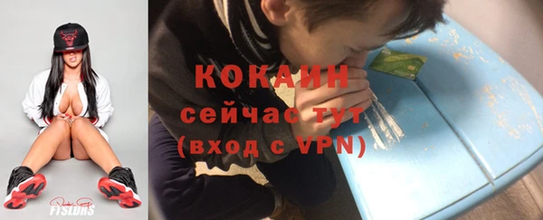 ПСИЛОЦИБИНОВЫЕ ГРИБЫ Заводоуковск