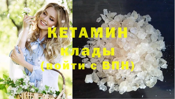 прущие грибы Весьегонск