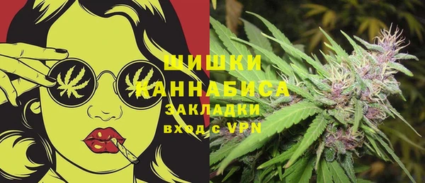 ПСИЛОЦИБИНОВЫЕ ГРИБЫ Заводоуковск