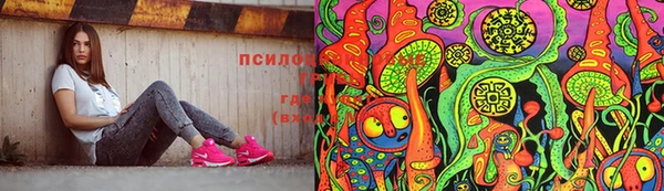 амф Заволжье