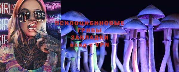 амф Заволжье