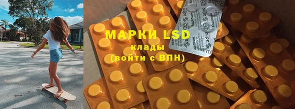 ПСИЛОЦИБИНОВЫЕ ГРИБЫ Заводоуковск