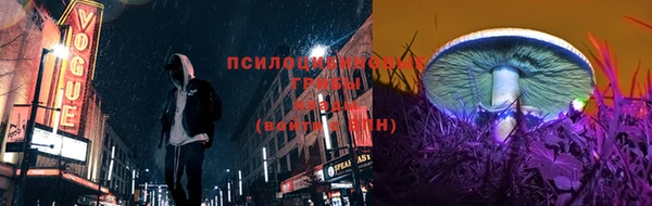 амф Заволжье