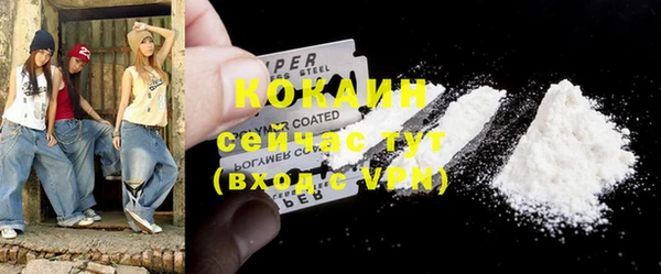прущие грибы Весьегонск