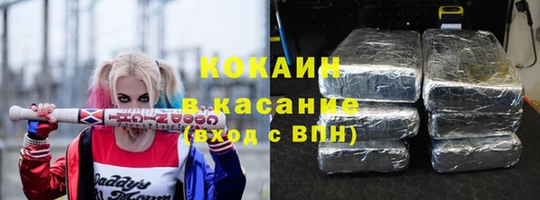 ПСИЛОЦИБИНОВЫЕ ГРИБЫ Заводоуковск