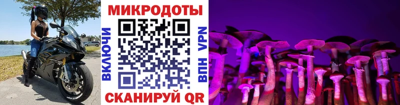 Галлюциногенные грибы Magic Shrooms гидра онион Каргат где найти